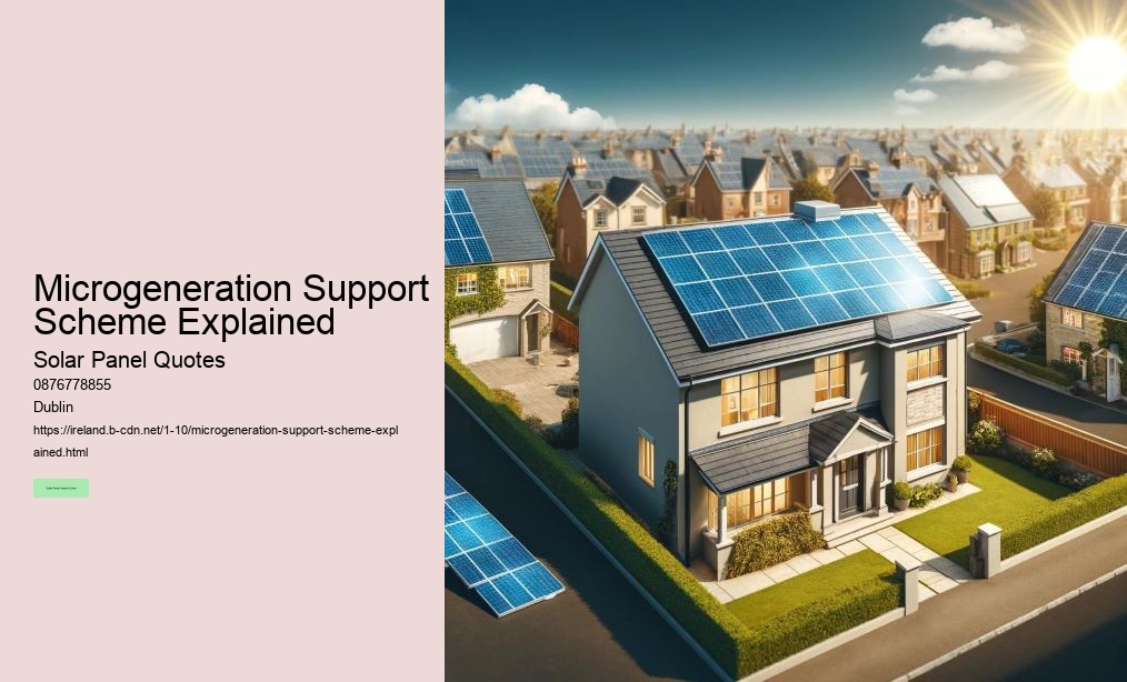 Solar Panels and Their Contribution to Sustainability