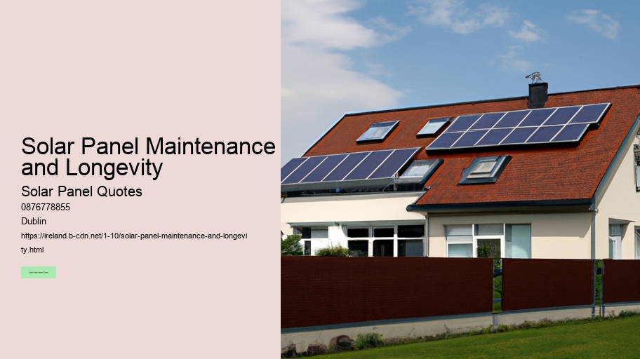 Solar Panel Maintenance and Longevity