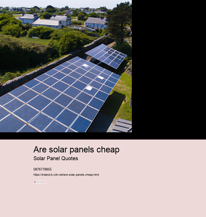 are solar panels cheap