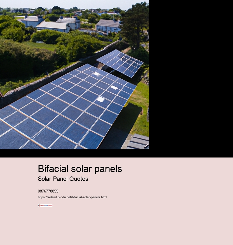 bifacial solar panels